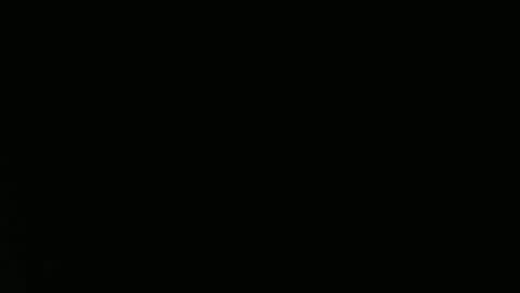 Aurora Willows online show from 04-12-26, 04:45