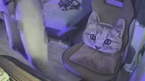 Superborec23 online show from 04-12-26, 03:06