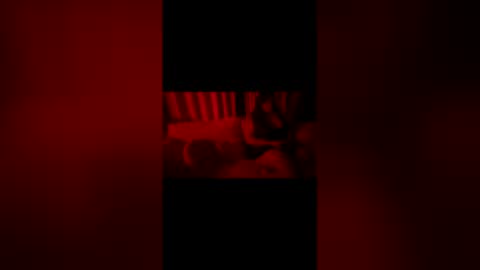 2littlefox online show from 06-07-26, 01:10