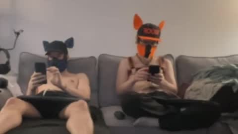 2pupsinheat online show from 07-11-26, 12:57