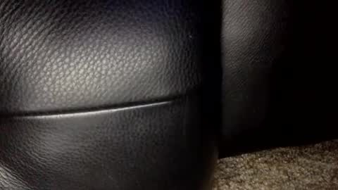 Snapshot of 30nick chatting on 01-18-26, 06:39 30nick online show from 01-18-26, 06:39