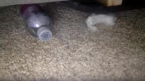 Snapshot of 30nick chatting on 02-10-26, 04:16 30nick online show from 02-10-26, 04:16