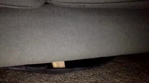 Snapshot of 30nick chatting on 02-25-26, 05:50 30nick online show from 02-25-26, 05:50