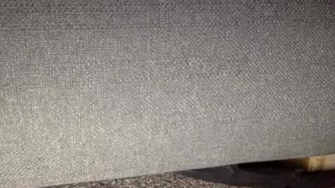 Snapshot of 30nick chatting on 03-07-26, 09:06 30nick online show from 03-07-26, 09:06