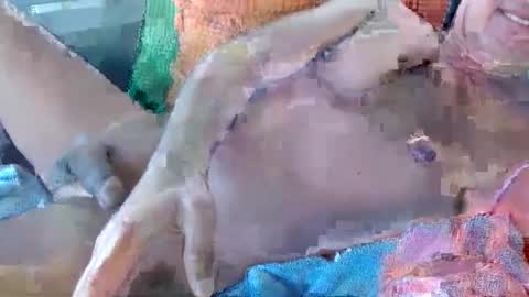 Snapshot of 56funleo chatting on 11-17-25, 10:59 Daddy online show from 11-17-25, 10:59