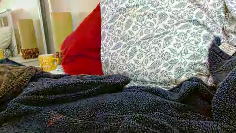 Snapshot of 56funleo chatting on 01-31-26, 07:11 Daddy online show from 01-31-26, 07:11