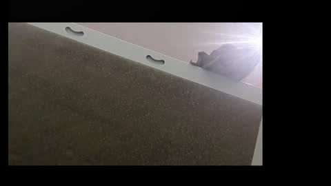 RecentBison online show from 11-02-25, 08:44