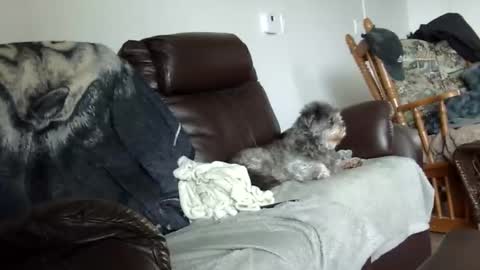 66bear online show from 12-21-25, 02:02