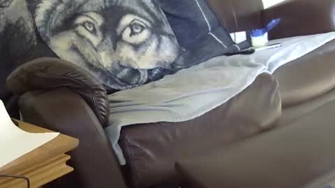 66bear online show from 03-09-26, 12:53