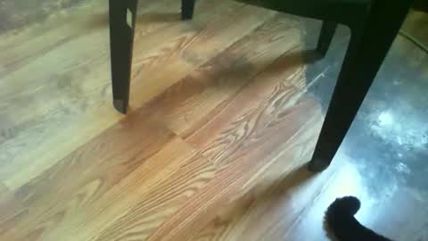 69forever453443 online show from 11-14-25, 01:43