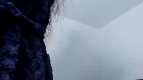 Snapshot of 77neferkitty77 chatting on 06-19-26, 12:20 online show from 06-19-26, 12:20