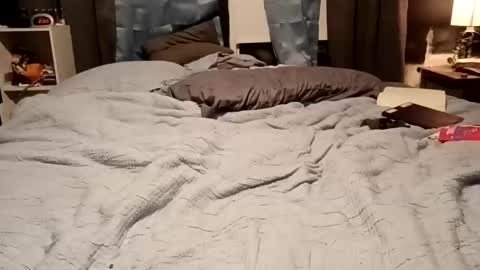 Snapshot of 7lairddip chatting on 02-15-26, 07:51 7lairddip online show from 02-15-26, 07:51