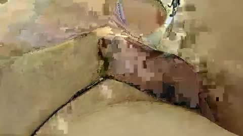 8385 online show from 03-03-25, 12:15