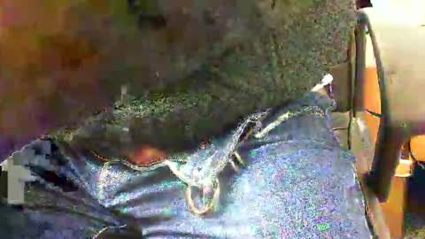 Snapshot of 99zeus9 chatting on 11-27-25, 01:46 99zeus9 online show from 11-27-25, 01:46