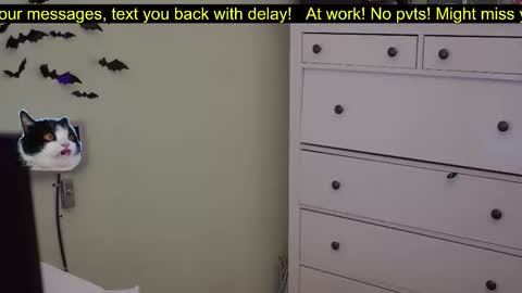 Snapshot of _3x7_ chatting on 10-07-25, 06:16 _3x7_ online show from 10-07-25, 06:16