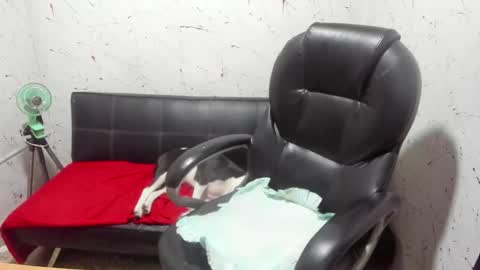 Snapshot of _ace_ventura chatting on 03-07-26, 05:04 ---- online show from 03-07-26, 05:04