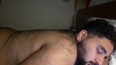 Snapshot of _alan_bear_ chatting on 06-28-26, 05:41 Alan online show from 06-28-26, 05:41