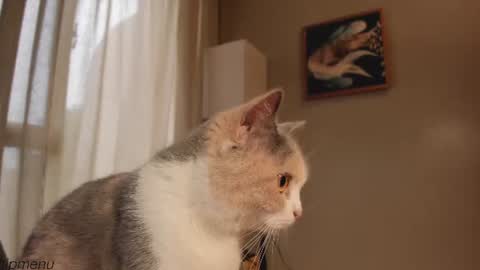 annie . online show from 07-23-26, 03:48
