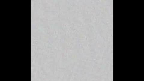 Brenda online show from 10-23-25, 11:53