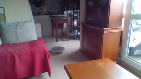 _bubble_buttfunxxx online show from 09-24-25, 10:07