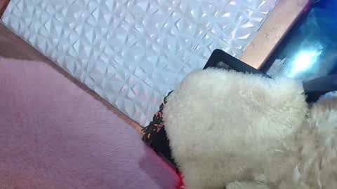 Snapshot of _caroline69 chatting on 01-19-25, 01:55 Caroline online show from 01-19-25, 01:55
