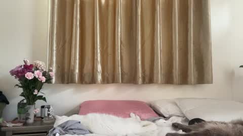 Snapshot of _chelsea___ chatting on 02-16-25, 09:16 Chelsea xo online show from 02-16-25, 09:16