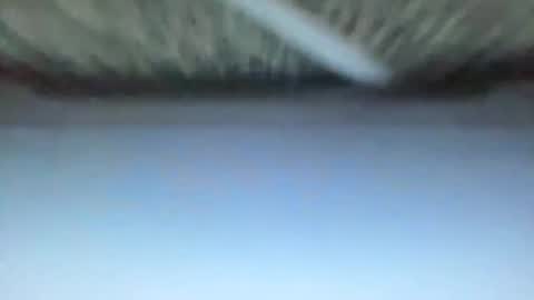 _direwolf_ online show from 02-27-26, 10:59