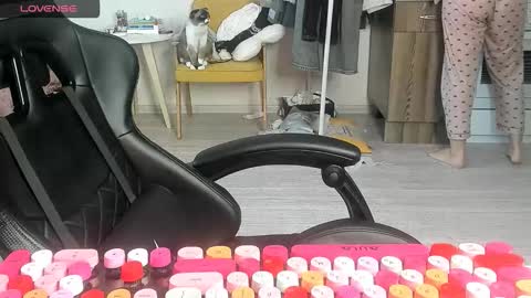 Snapshot of _feralberry__ chatting on 03-02-26, 07:15 Alis online show from 03-02-26, 07:15