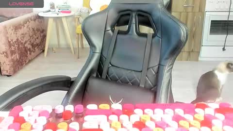 Snapshot of _feralberry__ chatting on 03-10-26, 06:29 Alis online show from 03-10-26, 06:29