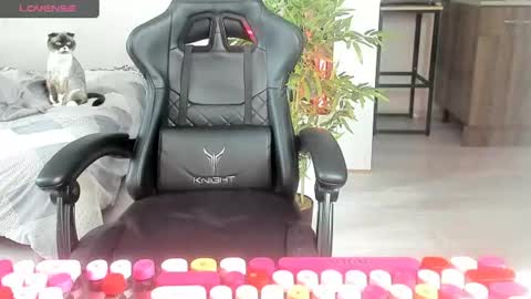 Snapshot of _feralberry__ chatting on 06-20-26, 07:11 Alis online show from 06-20-26, 07:11