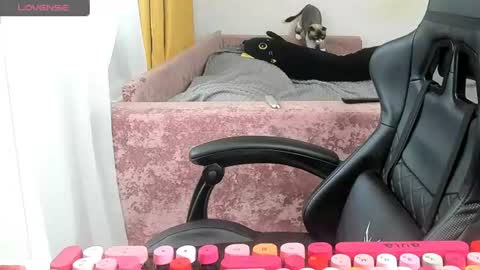 Snapshot of _feralberry__ chatting on 06-26-26, 03:55 Alis online show from 06-26-26, 03:55