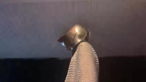 GOODKNIGHT online show from 02-03-25, 05:07