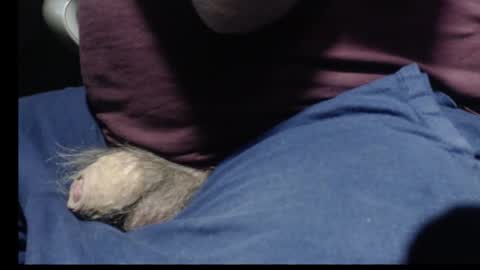 _jimmini online show from 02-12-26, 08:59