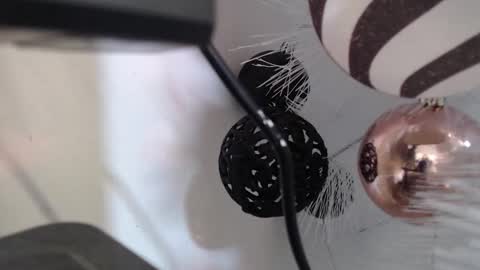 Cata  online show from 12-02-25, 03:12