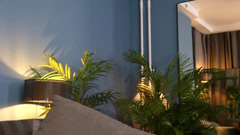 FANSLY ---   anal in private 700 tokens online show from 11-07-25, 05:13