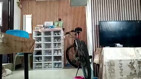 Kylie online show from 09-11-25, 12:44