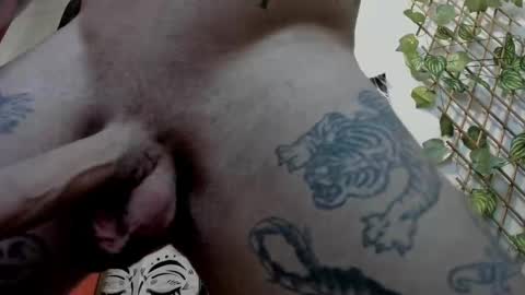 Layne online show from 02-21-25, 02:06