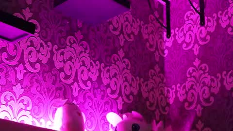 Snapshot of _made_in_hell_ chatting on 02-23-25, 11:47 Stream at am in MoscowI am waiting for you very much3 online show from 02-23-25, 11:47