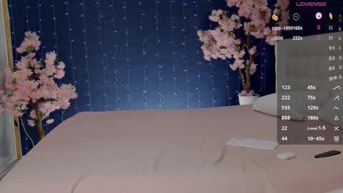 Snapshot of _mirror_girl chatting on 10-24-25, 04:25 Victoria online show from 10-24-25, 04:25