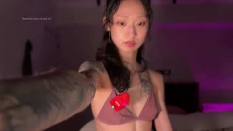 Mikayla online show from 08-04-26, 10:01