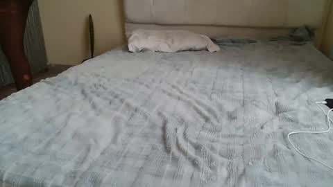 Peach online show from 04-25-26, 10:07