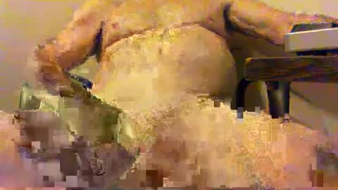 Snapshot of _pervin_ chatting on 02-05-25, 02:51 pervin online show from 02-05-25, 02:51