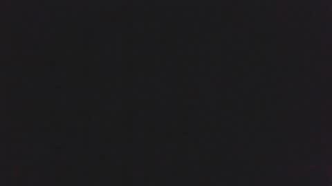  Tokyo01 online show from 02-23-25, 08:33