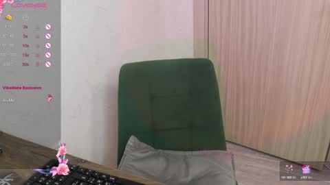 Snapshot of _viv1an_ chatting on 01-30-25, 09:47 Alis online show from 01-30-25, 09:47