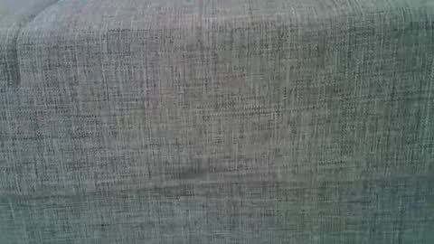 Snapshot of a7469 chatting on 03-08-25, 09:39 XXL online show from 03-08-25, 09:39