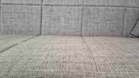 Snapshot of a7469 chatting on 10-10-25, 12:04 XXL online show from 10-10-25, 12:04