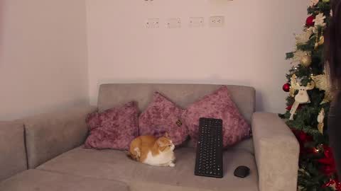 Snapshot of abbey_allen chatting on 12-14-24, 11:45 Abbey IG abby allenn 04 December Online at I will be on vacation dont forget me See you soon online show from 12-14-24, 11:45