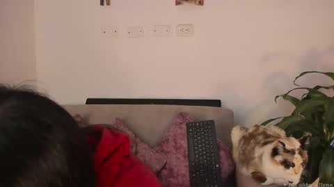 Snapshot of abbey_allen chatting on 03-07-25, 11:38 Abbey IG abby allenn 04 December Online at I will be on vacation dont forget me See you soon online show from 03-07-25, 11:38
