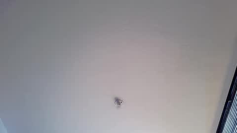 Snapshot of abbi_moon chatting on 01-12-25, 01:48 Martina online show from 01-12-25, 01:48