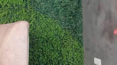 Snapshot of abby_me chatting on 02-11-25, 03:18 A B B Y online show from 02-11-25, 03:18